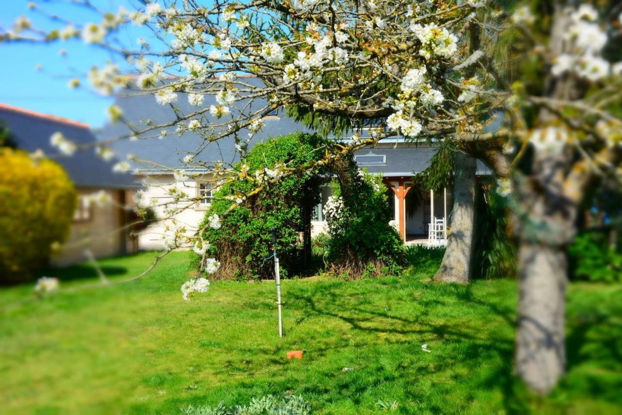 La Villa Bernard Varennes-sur-Loire ภายนอก รูปภาพ